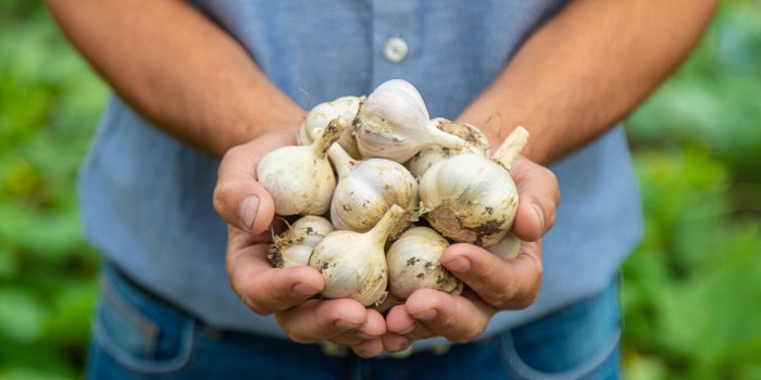 Les conseils d'une diététicienne pour une alimentation anti-grippe