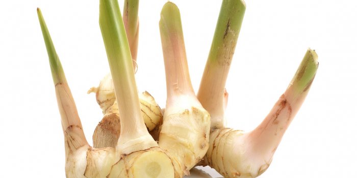 7 racines qui soignent les maux dâhiver