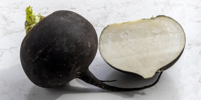 7 aliments détox à adopter avant le printemps