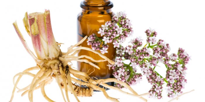 7 racines qui soignent les maux dâhiver