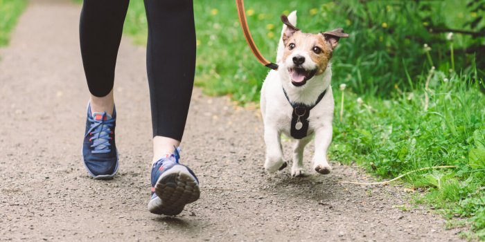 7 habitudes à prendre pour vous rebooster