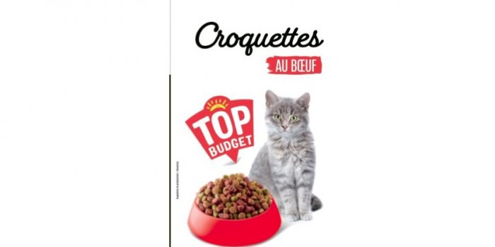Une dizaine de marques de croquettes rappelées dans toute la France