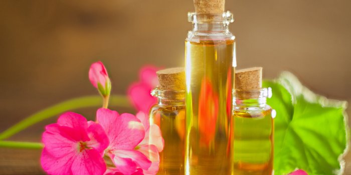 DÃ©mangeaisons : 6 plantes anti-grattage (et une recette complÃ¨te bonus) !Â 