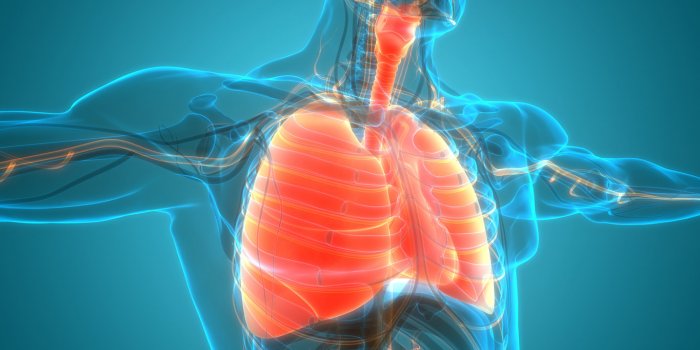 Soleil : 8 maladies qui dÃ©gÃ©nÃ¨rent en cas de chaleur !