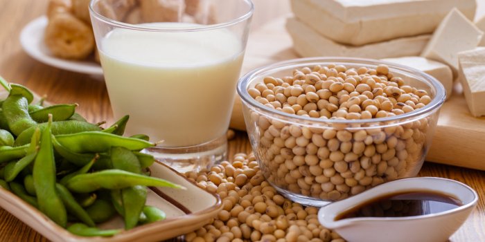 Microbiote intestinal : 15 aliments riches en tryptophane pour le prÃ©server 
