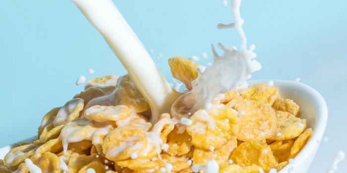 Caillot sanguin : 20 aliments nocifs pour la circulation sanguine