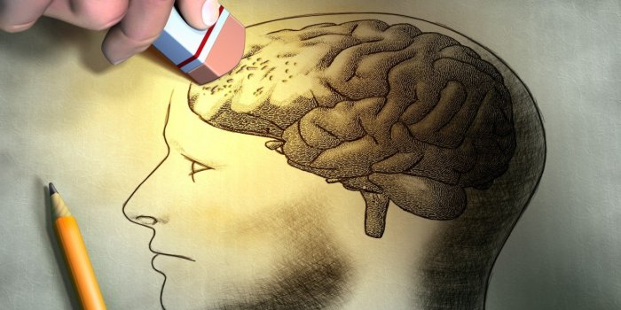 Cerveau : 5 mythes courants sur la mémoire