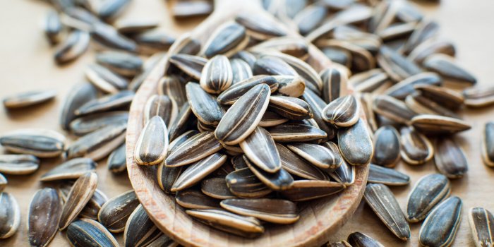 Miel : ce âsuper alimentâ peut entraîner une crise de goutte