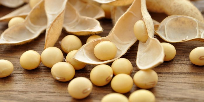 Laissez-vous tenter par le Veganuary avec ces 7 aliments 