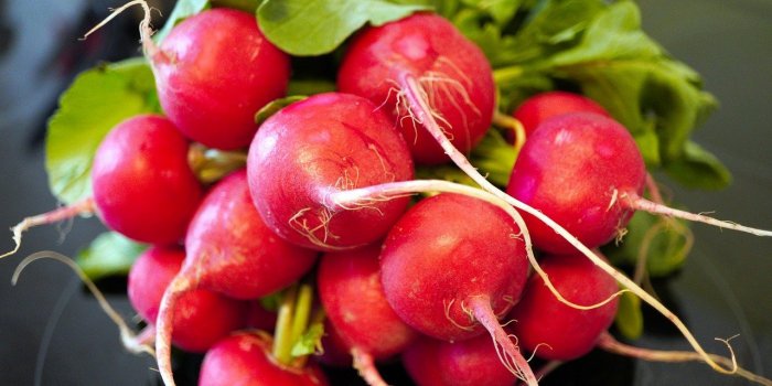 Régime : 8 supers aliments du printemps pour perdre du poids