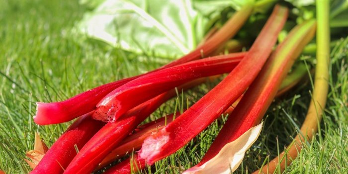 Régime : 8 supers aliments du printemps pour perdre du poids