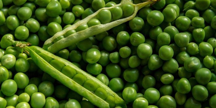 Régime : 8 supers aliments du printemps pour perdre du poids