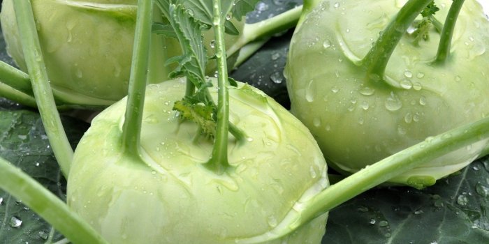 Régime : 8 supers aliments du printemps pour perdre du poids