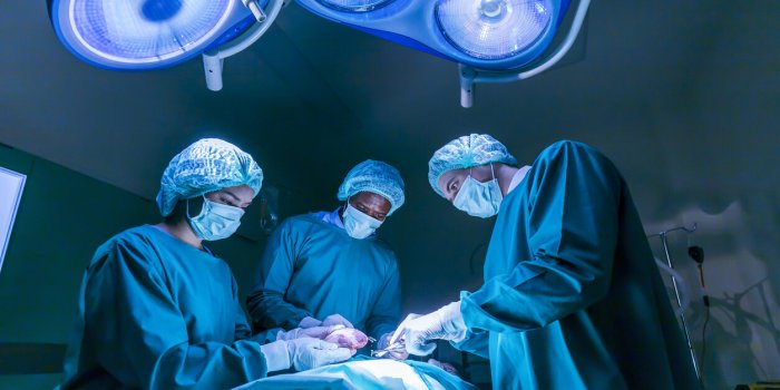 Huit questions que les gens se posent sur le don dâorganes