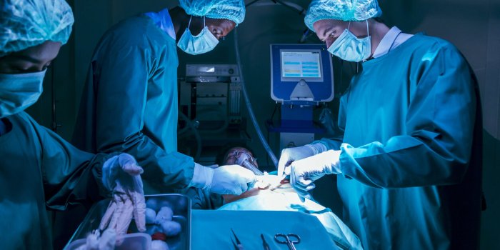 Huit questions que les gens se posent sur le don dâorganes