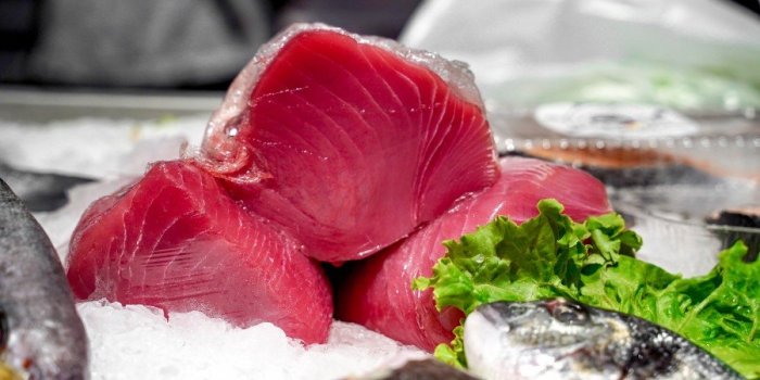 Les 7 poissons les plus caloriques