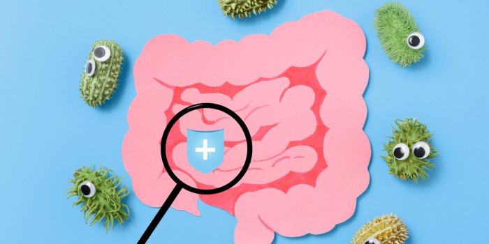 Candidose digestive : les aliments Ã  privilÃ©gier et Ã  Ã©viter 