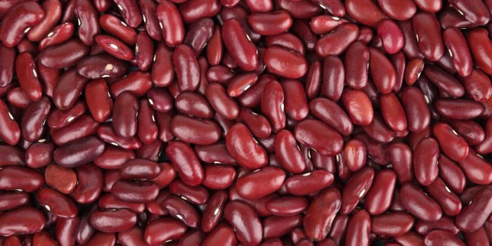 Le bon cholestÃ©rol pourrait vous prÃ©munir contre Alzheimer