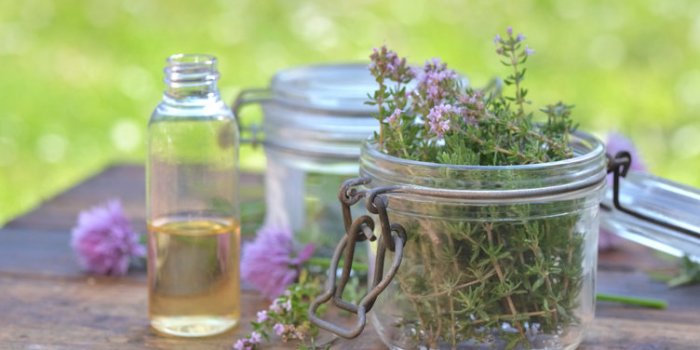 21 Ã©pices saines pour remplacer le sel et le sucre pendant les fÃªtes
