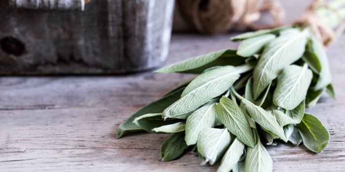 15 aliments pour faire le plein de vitamine K