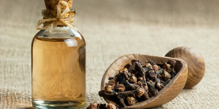 21 Ã©pices saines pour remplacer le sel et le sucre pendant les fÃªtes