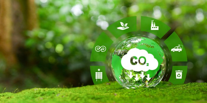 Pollution de lâair : comment elle empoisonne notre santé