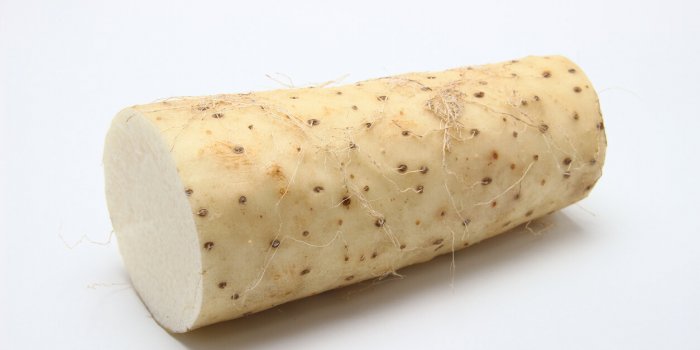 in traditional japanese dietary habits, chinese yam is an important ingredient that supports health it has been familiar ...