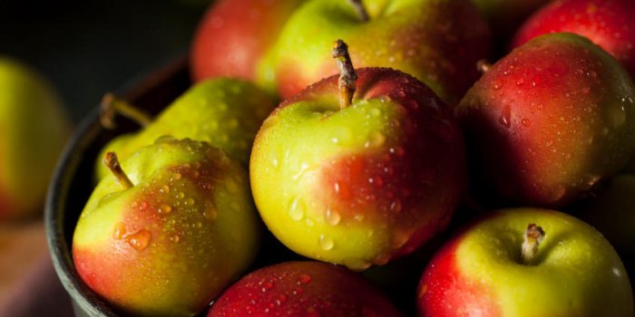 La pomme, un fruit clé de la protection intestinale