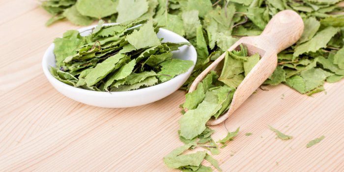Tisanes minceur : 10 plantes qui aident à maigrir