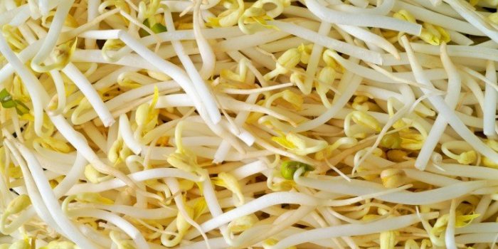 Cancer du sein : les aliments qui explosent votre risque