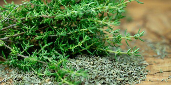 7 plantes que l'on peut consommer en tisane pour booster la mémoire
