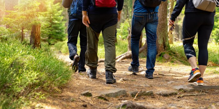 Chenilles processionnaires : 7 moyens de se protÃ©ger