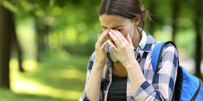 Chenilles processionnaires : 7 moyens de se protÃ©ger