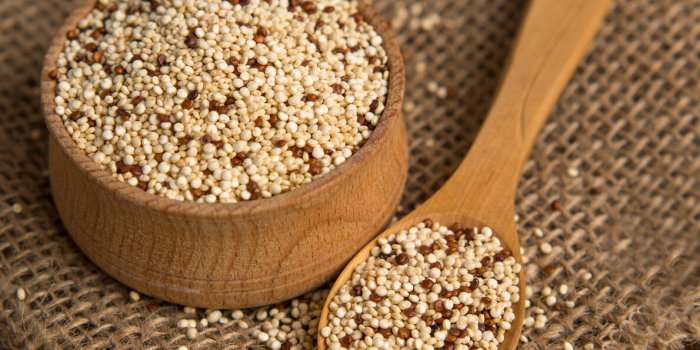 Les 7 meilleurs aliments pour vos poumons
