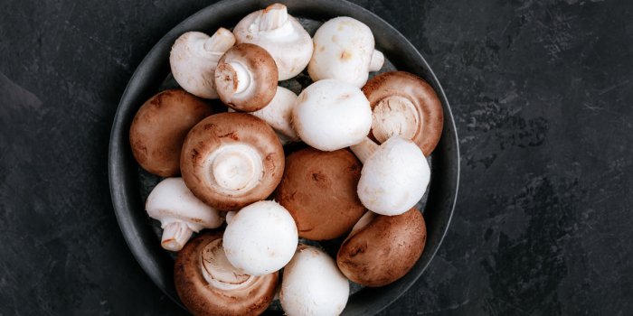Les 5 meilleurs champignons pour la santé