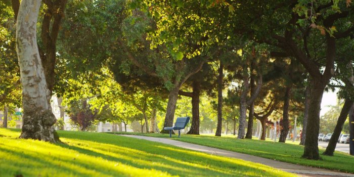 8 lieux où vous avez des chances de trouver l'amour selon une étude