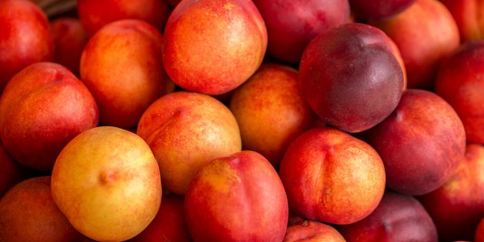 Pesticides : top 12 des fruits et lÃ©gumes qui en contiennent le plus en 2023