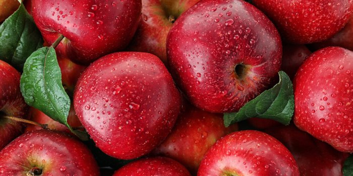 Pesticides : top 12 des fruits et lÃ©gumes qui en contiennent le plus en 2023