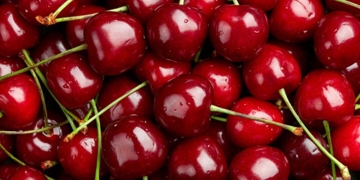 Pesticides : top 12 des fruits et lÃ©gumes qui en contiennent le plus en 2023