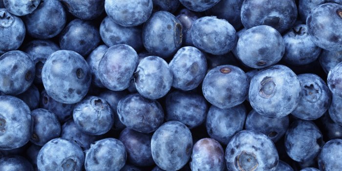 Pesticides : top 12 des fruits et lÃ©gumes qui en contiennent le plus en 2023