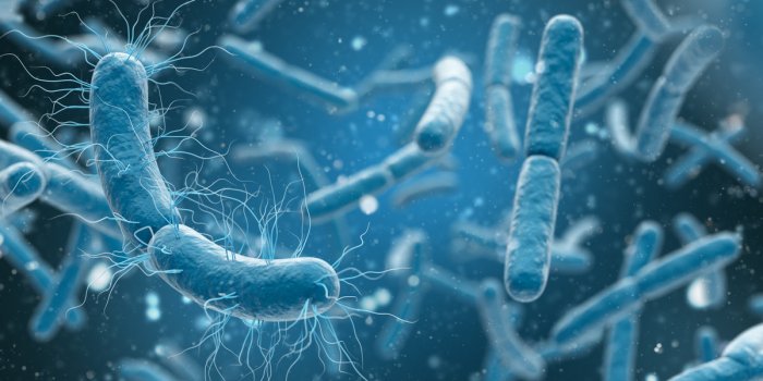 Diabète, digestion, infection⦠: les 8 vertus du clou de girofle