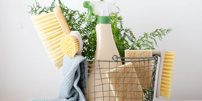 Maison : 7 choses à faire pour améliorer la qualité de l'air chez soi