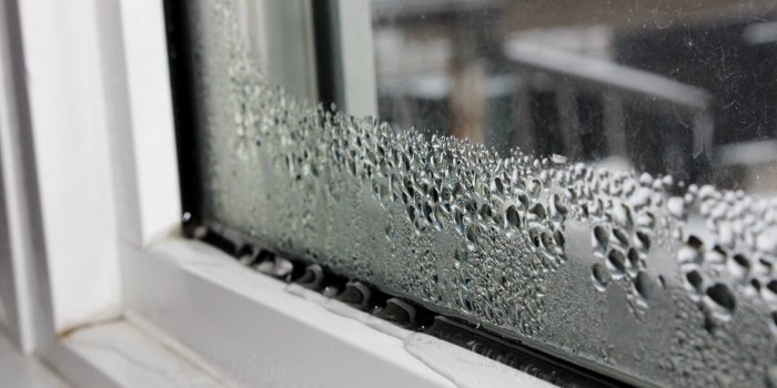 Maison : 7 choses à faire pour améliorer la qualité de l'air chez soi