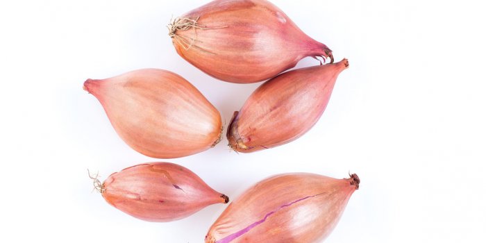 Caillot sanguin : 15 aliments pour une meilleure circulation sanguine 