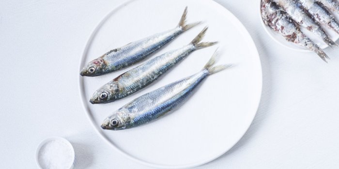 13 aliments riches en omÃ©ga 3 qui luttent contre l'athÃ©rosclÃ©rose