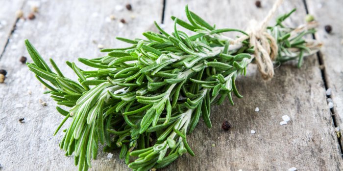 Grippe, rhume, bronchite : 7 épices qui peuvent soulager les troubles ORL