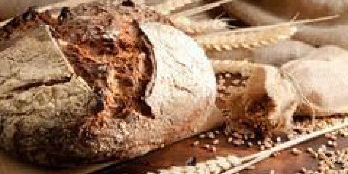 Alzheimer : un rÃ©gime riche en fibre pourrait vous protÃ©ger 
