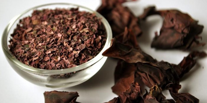 9 bonnes raisons de manger des algues