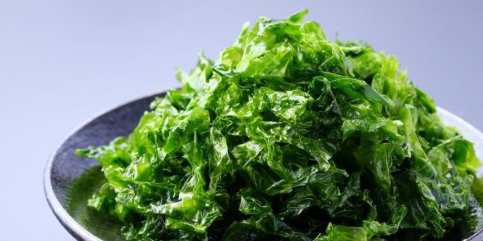 9 bonnes raisons de manger des algues