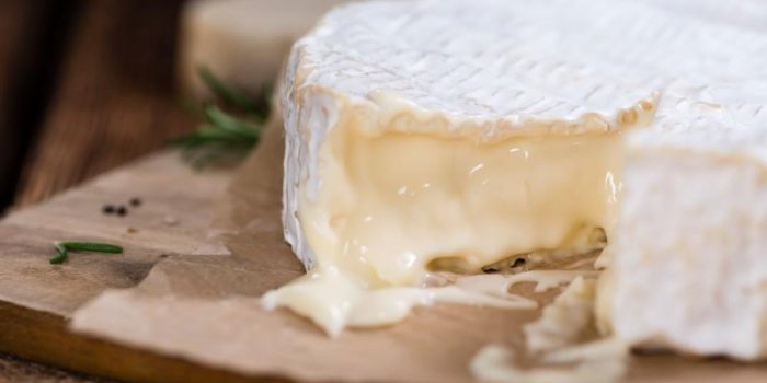 Cholestérol : 12 fromages légers à choisir pour le réveillon du Nouvel An